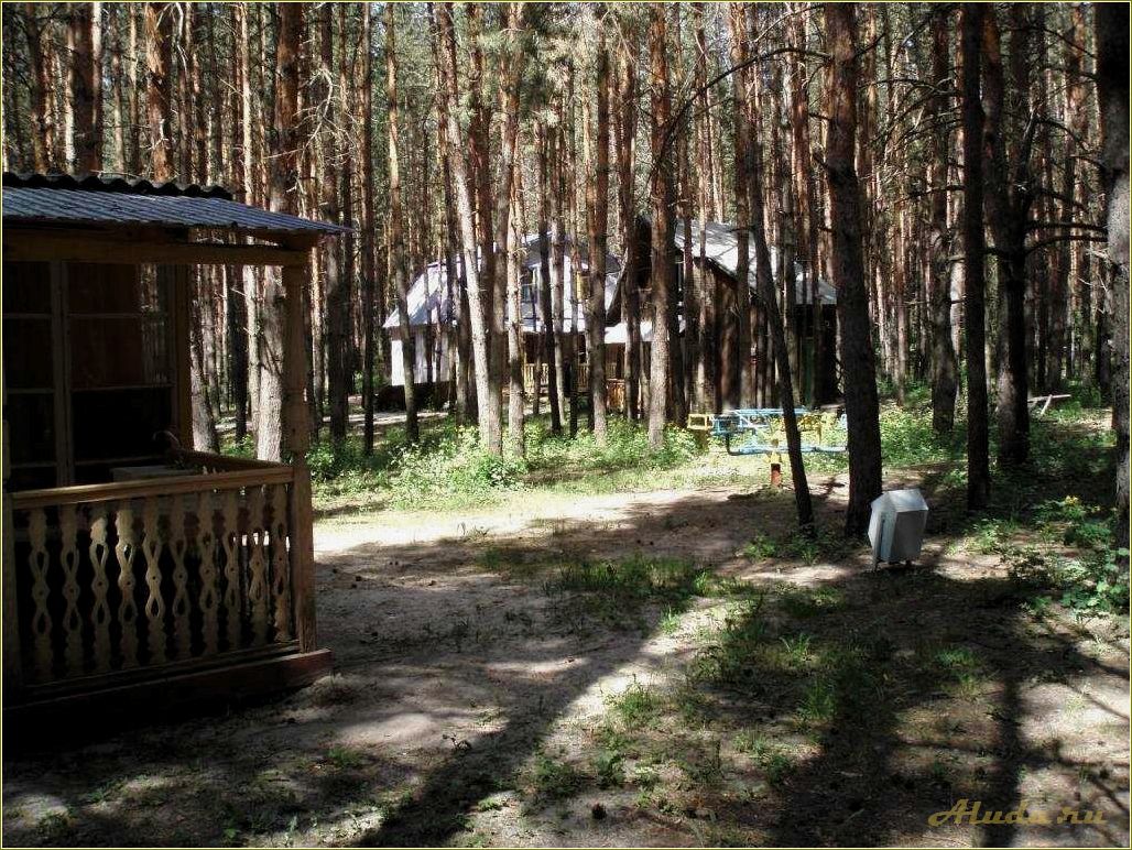 База отдыха Заря Шигонский район Самарской области