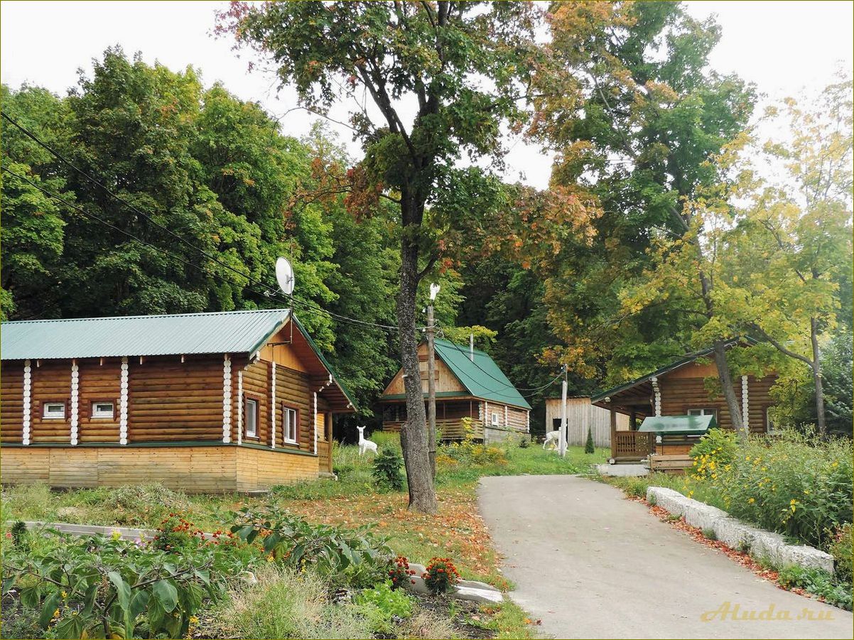 Лесная база отдыха в Нижегородской области — идеальное место для отдыха на природе