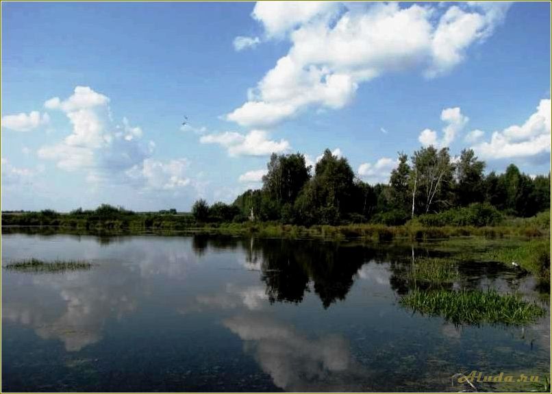 Отдых на базе некрасовских озер в Свердловской области