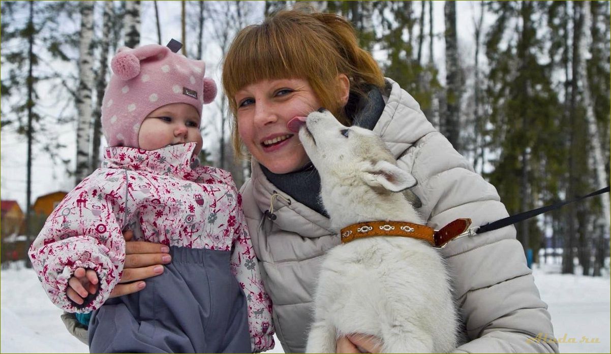 Отдых с детьми в Нижегородской области — лучшие места и развлечения