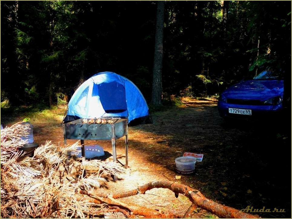 Отдых с палатками в Тамбовской области