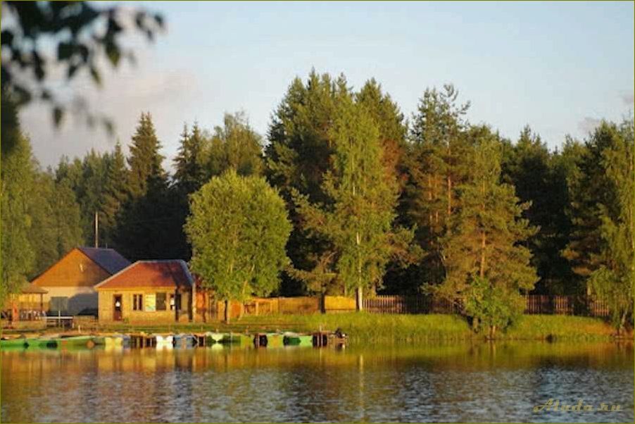 Отдых на базе отдыха в Новгородской области — где и как провести недорогие каникулы