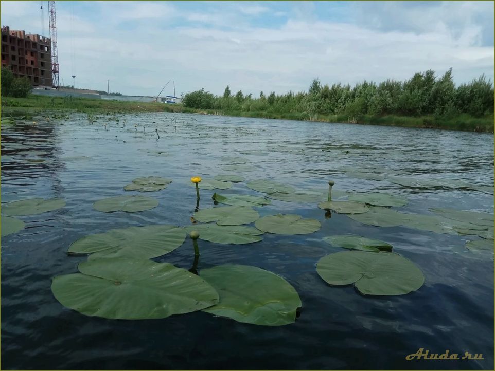 Отдых на озере Щучье — идеальная база отдыха в Омской области