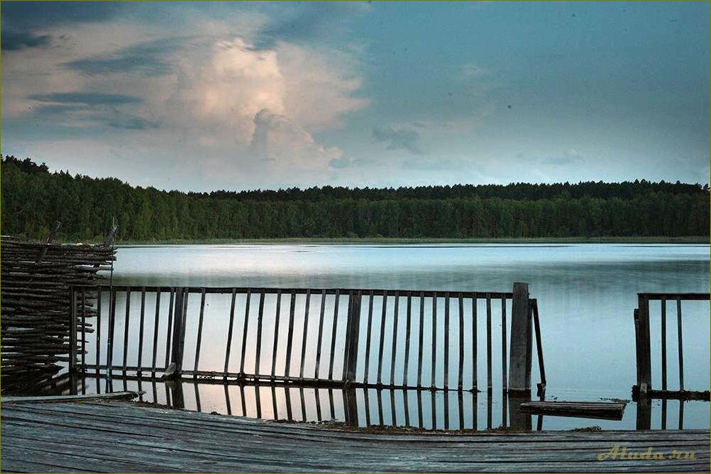 Отдых на озере Щучье — идеальная база отдыха в Омской области