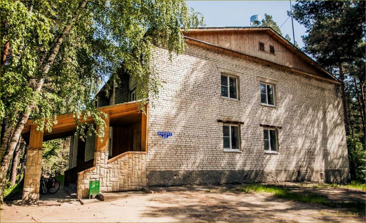 Павловская база отдыха в Нижегородской области — идеальное место для активного отдыха и релаксации в окружении природы