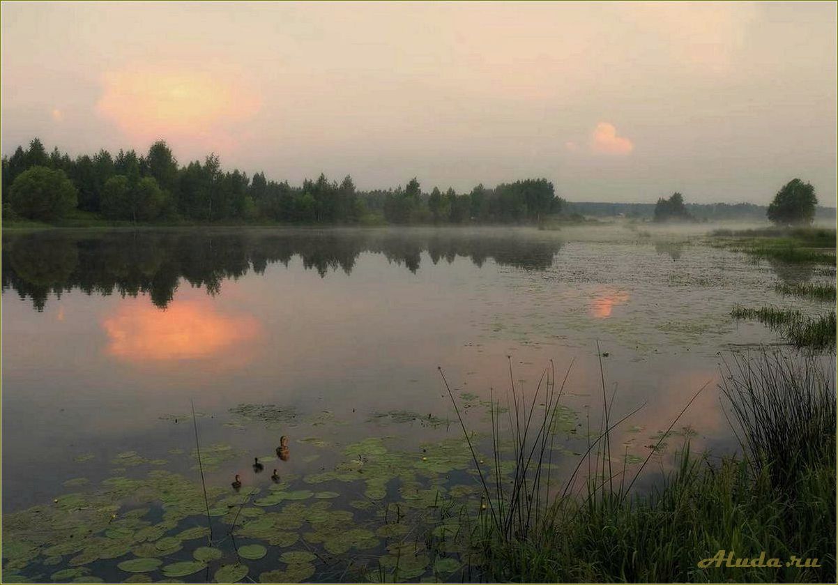 Река Солоница Ярославской области: отдых на природе