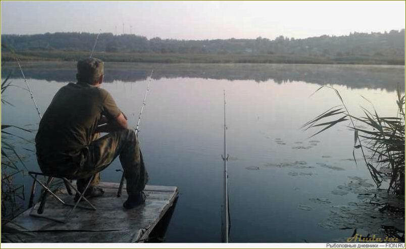 Рыбалка в Рязанской области — лучшие базы отдыха и советы для успешного улова