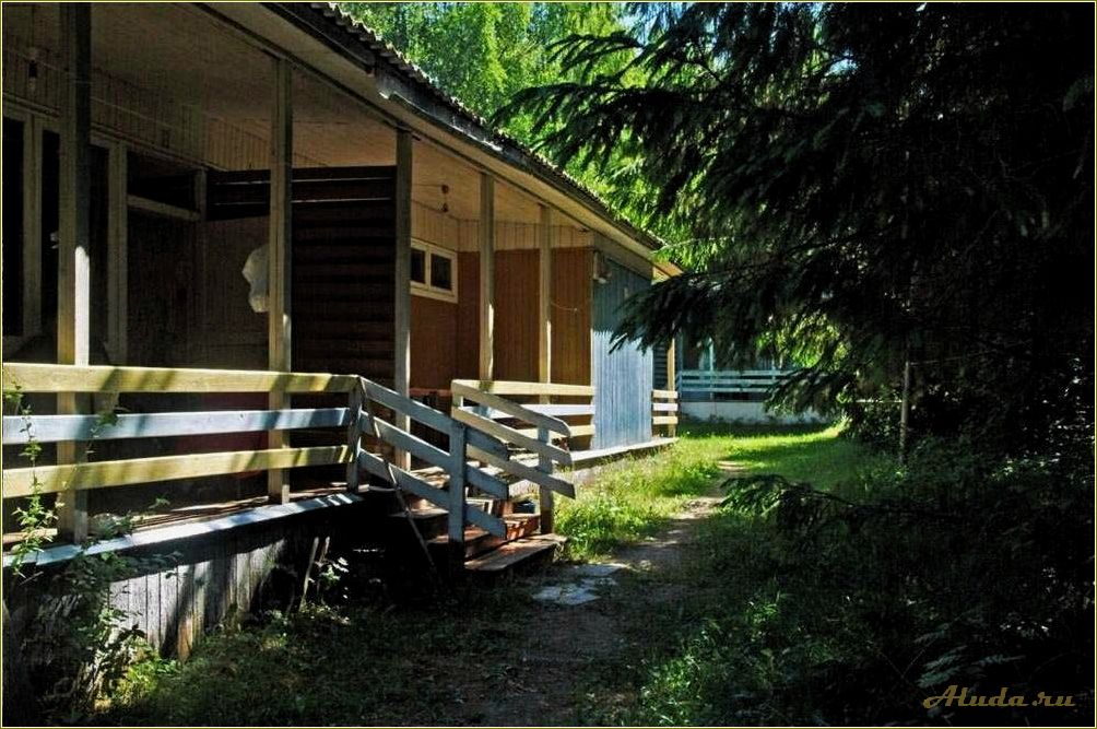 База отдыха в Приокской Тульской области