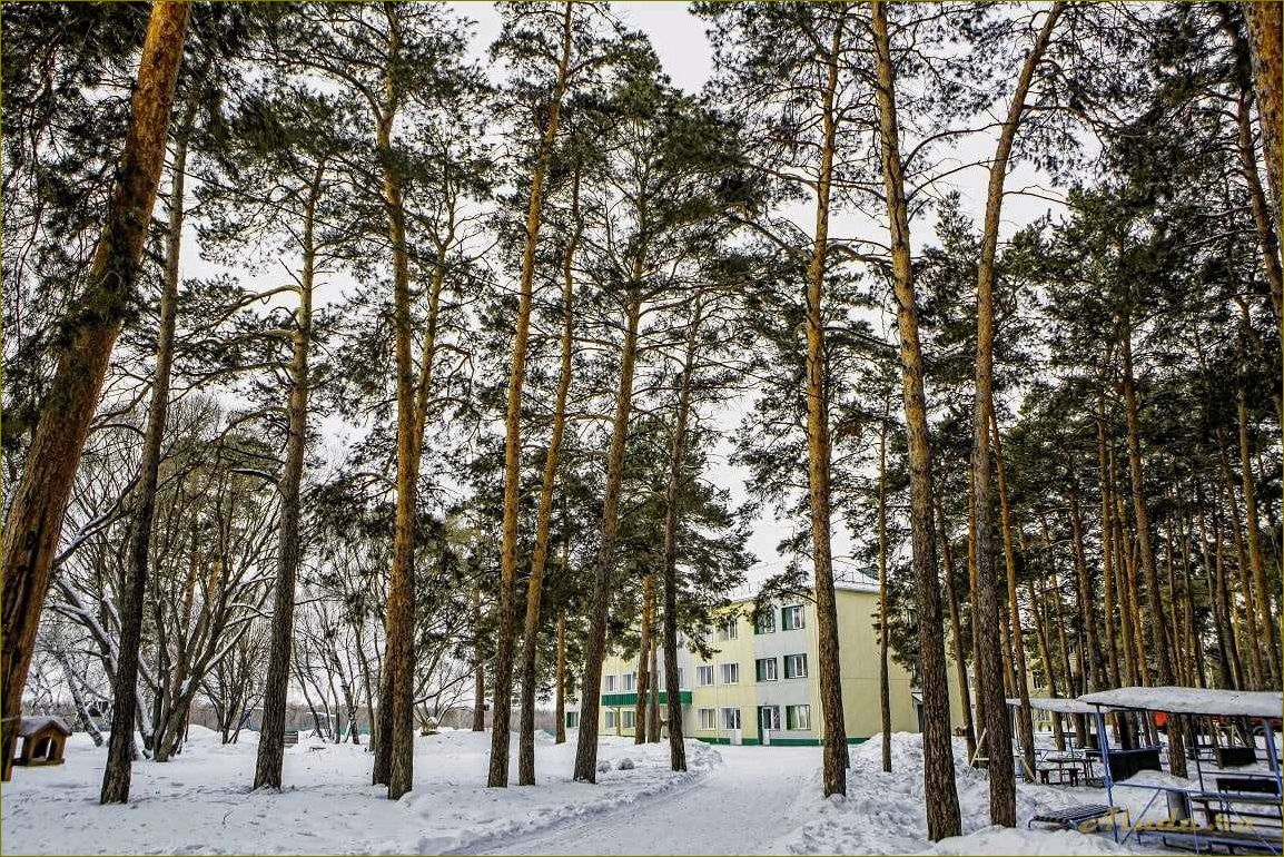 Базы отдыха в Чернолучье Омской области — лучшие варианты и цены на 2022 год