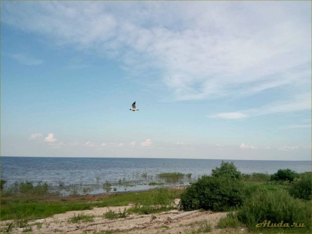Базы отдыха на берегу озера Ильмень в Новгородской области — отличный выбор для спокойного и комфортного отдыха