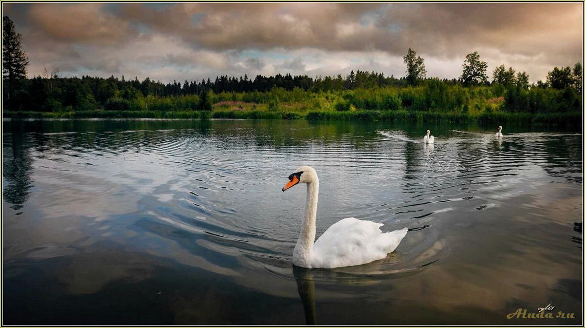 Белое озеро Самарская область — идеальное место для отдыха и релаксации