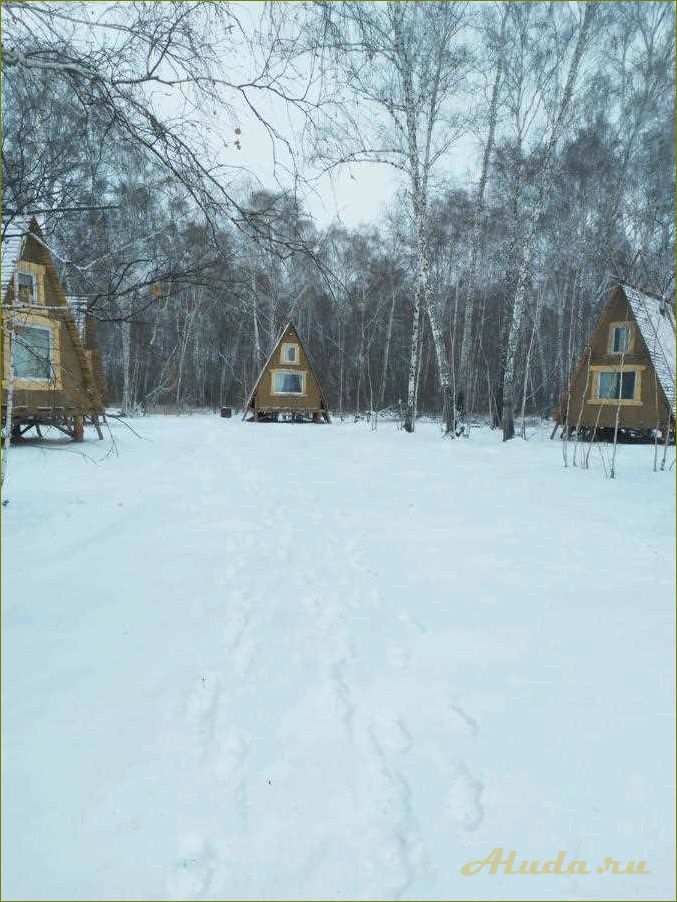 Березянка — идеальное место для отдыха в Омской области