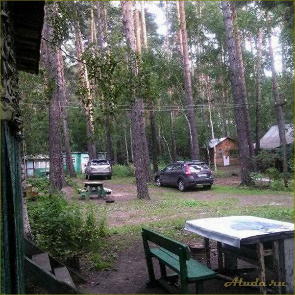 Боровое — новая база отдыха в Новосибирской области для активного отдыха и релакса