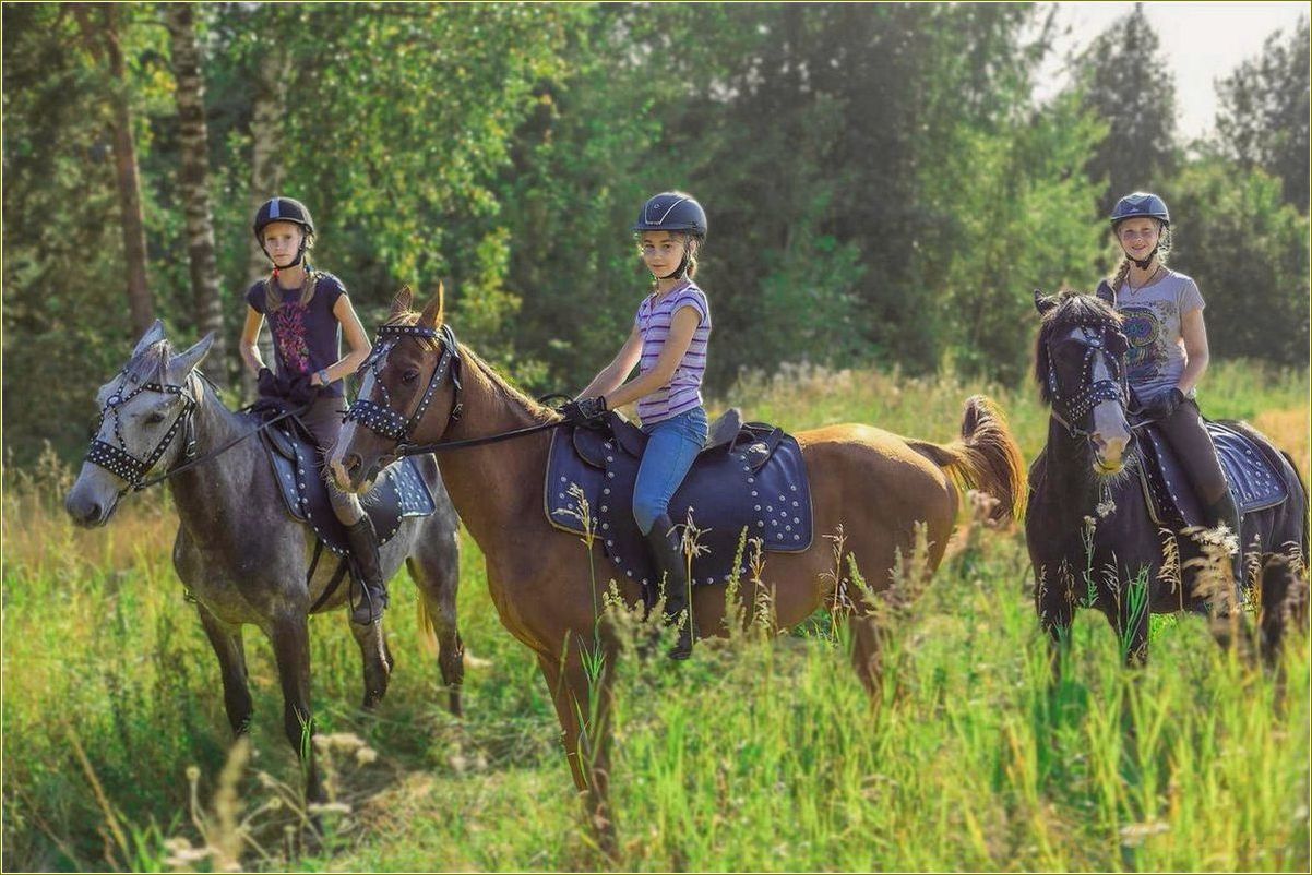 Конный отдых в Псковской области — лучшие маршруты и усадьбы для любителей верховой езды