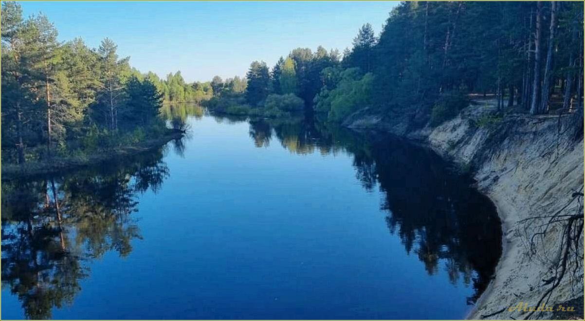 Отдых на реке Пре в Рязанской области — идеальное место для семейного отпуска и активного отдыха на природе