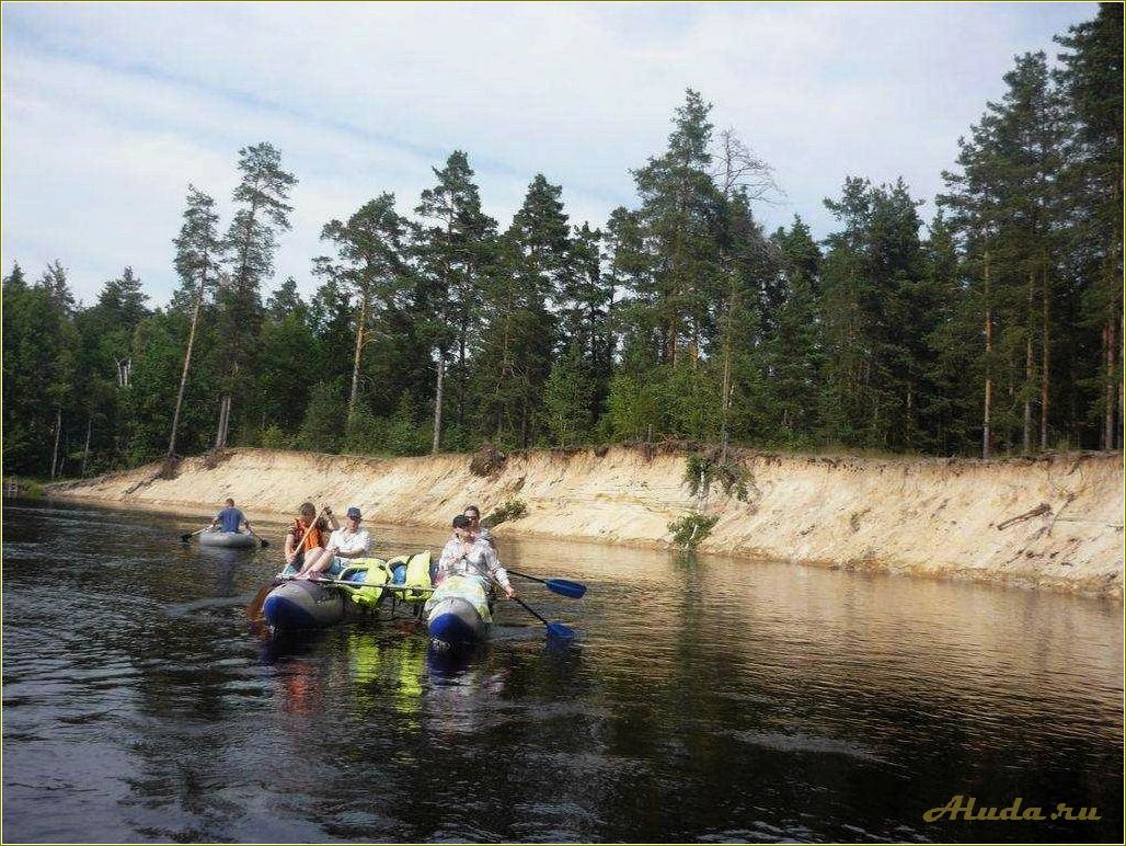 Отдых на реке Пре в Рязанской области — идеальное место для семейного отпуска и активного отдыха на природе