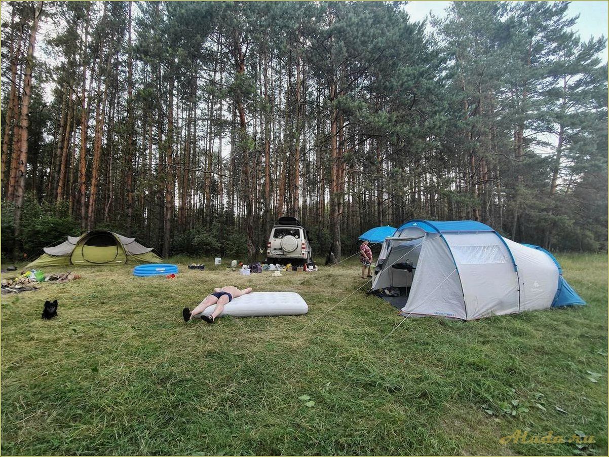 Озеро Белое — идеальное место для отдыха с палатками в Рязанской области