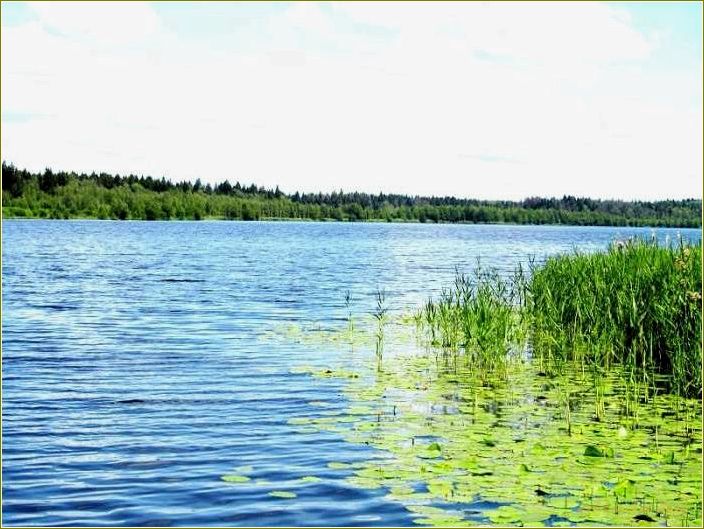 Озеро Долгое: отдых в Челябинской области