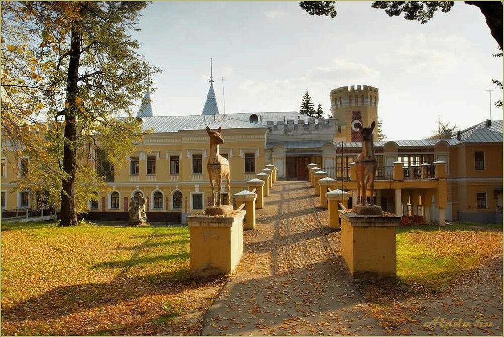 Рязанская область — идеальное место для детского отдыха среди природы и истории