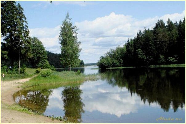 База отдыха на озере Селигер Тверская область