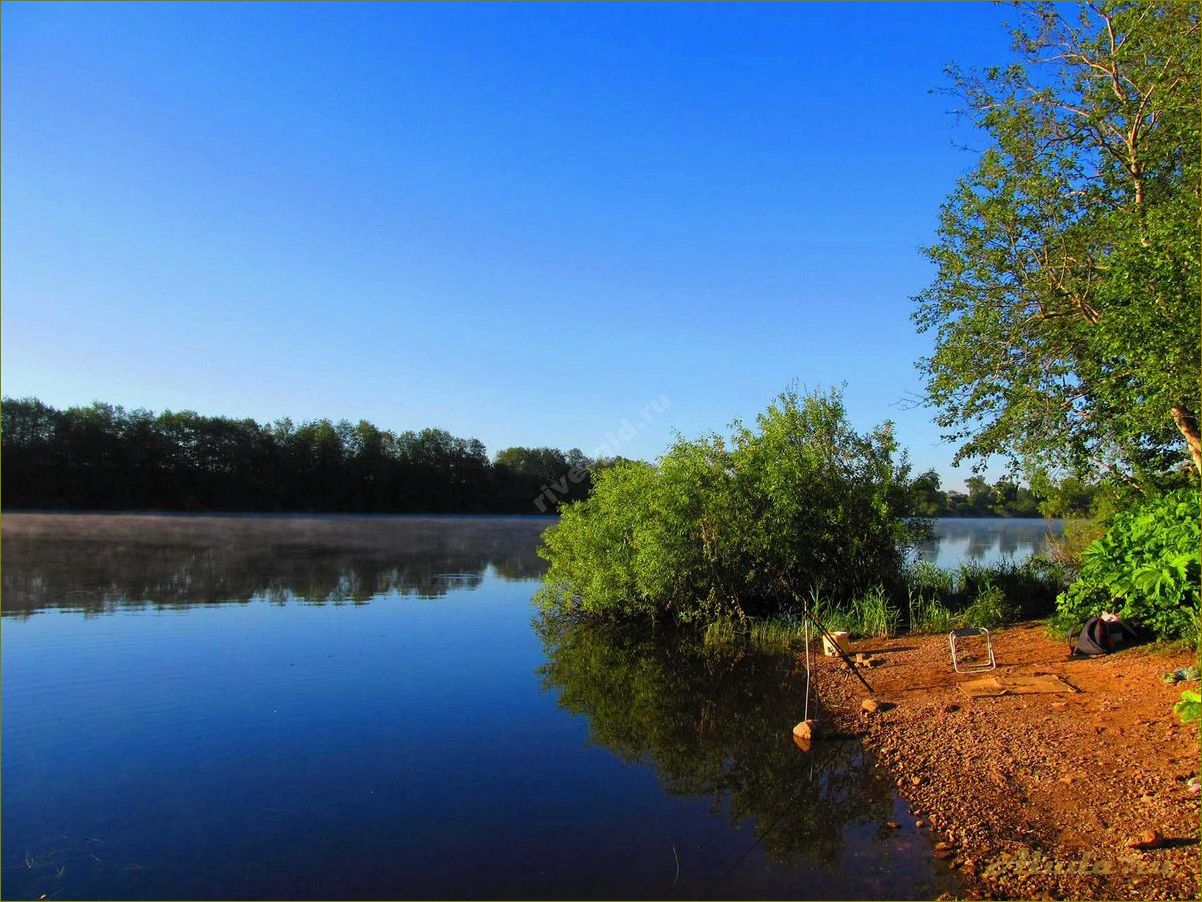 База отдыха на Волхове в Новгородской области — идеальное место для комфортного отдыха на природе