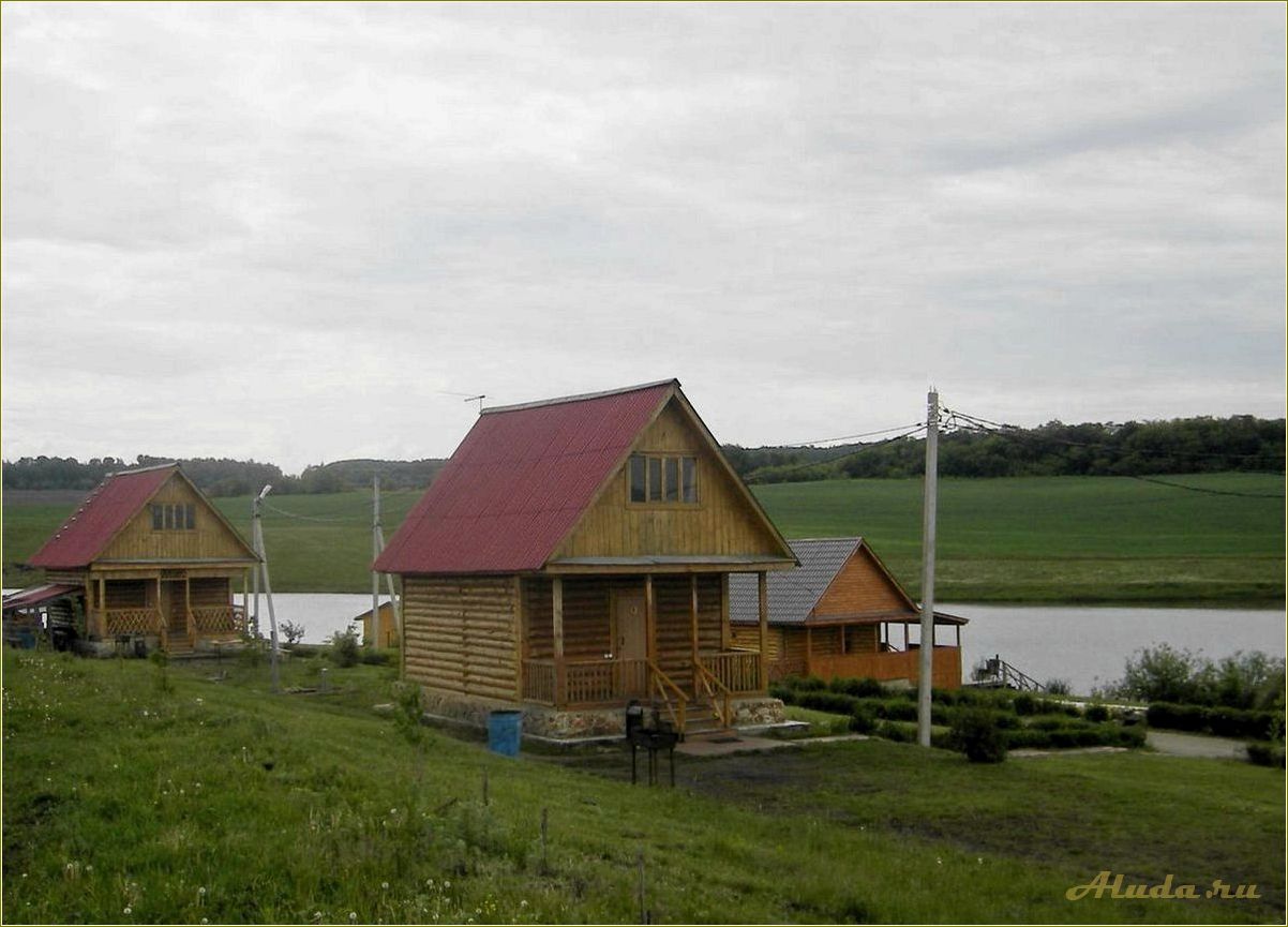 База отдыха в Танеевке Лунинского района Пензенской области — идеальное место для отдыха на природе