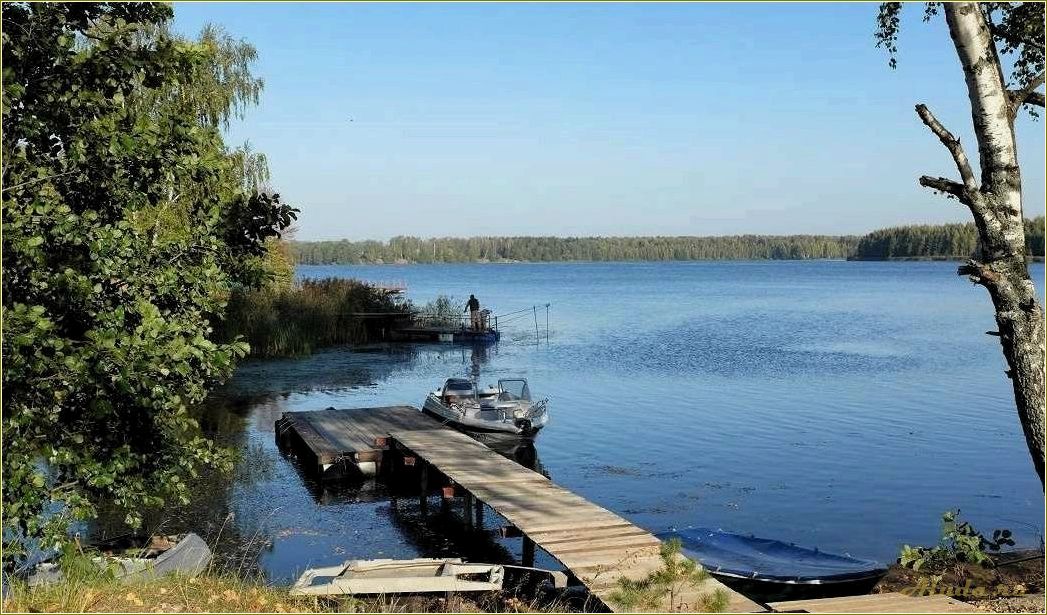 Базы отдыха на Десногорском водохранилище Смоленская область: цены, услуги, отзывы