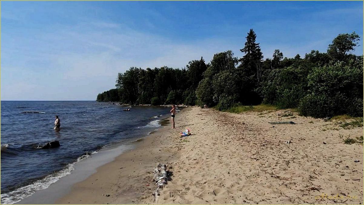 Базы отдыха на Рыбинском водохранилище Ярославская область с пляжем