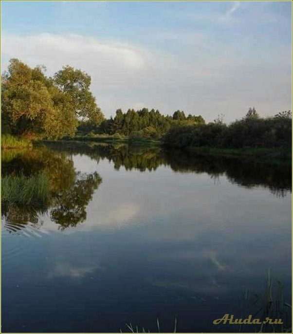 Керша Тамбовской области: отдых на природе