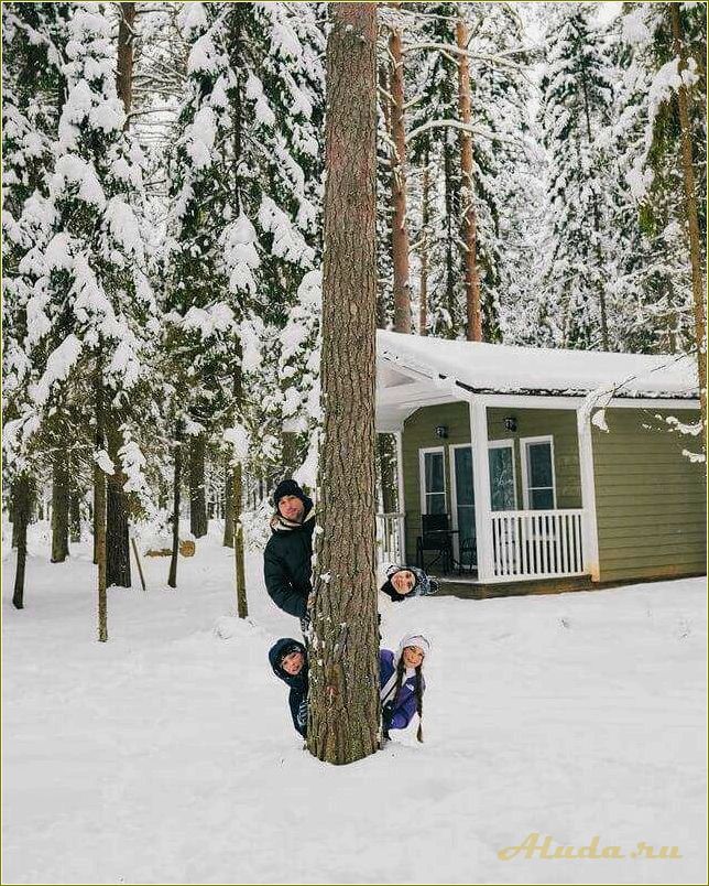 Лучшие базы отдыха в ярославской области с детьми зимой