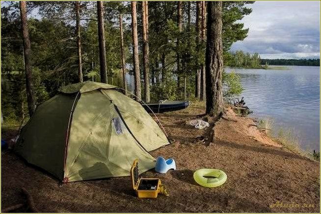 Глэмпинг завидово. Симагинское озеро. Озеро селигер кемпинг с палатками. Отдых с палатками тверская область. Палаточный лагерь на волге.