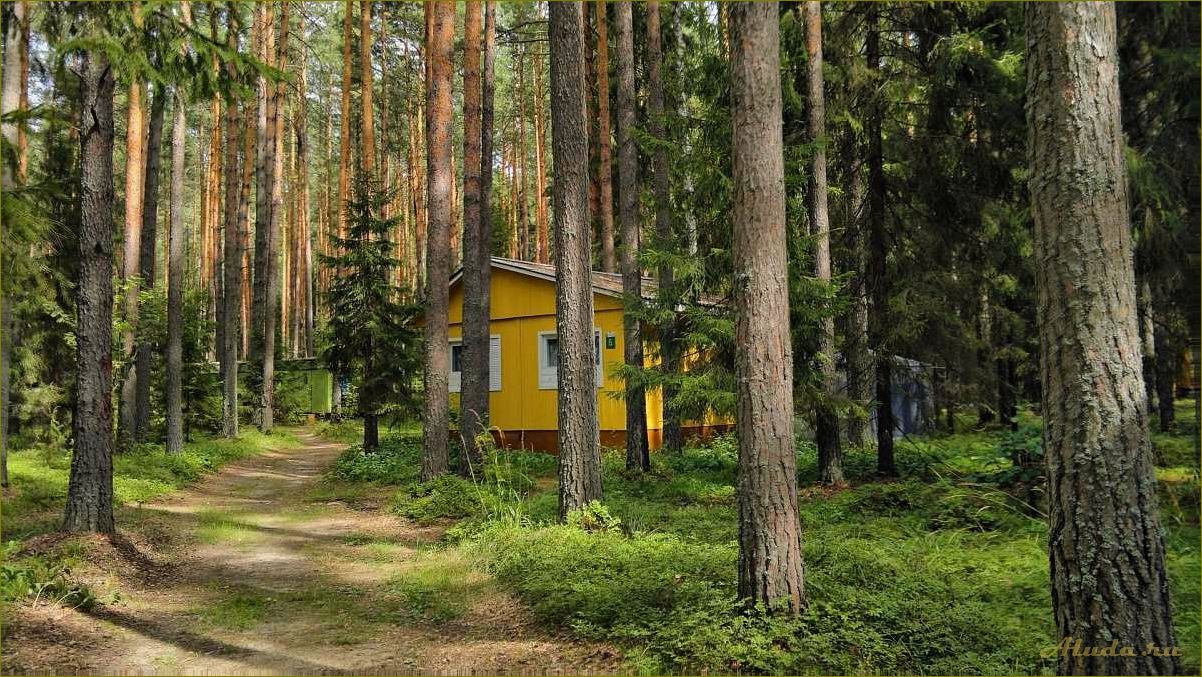 Выходные на горьковском море нижегородская область. Турбаза Маура Горьковское море. Турбаза Нижегородская область Горьковское море. Акватория Горьковское море. Турбаза Строитель Горьковское море.