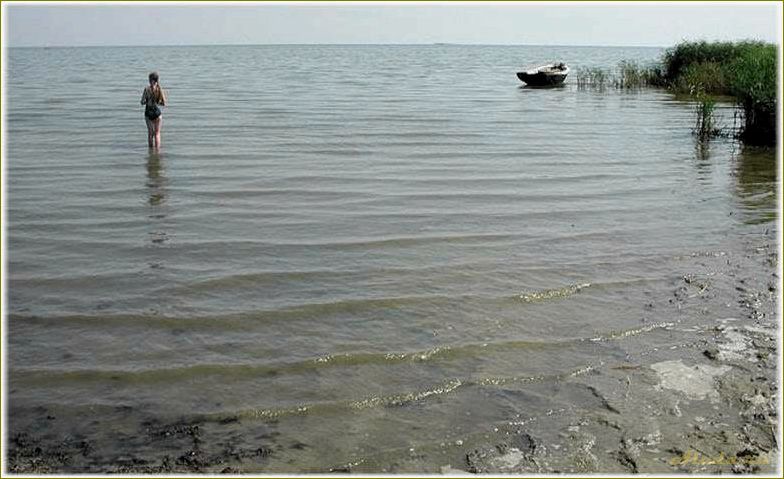 Отзывы об отдыхе в Морской Ростовской области — лучшие места, пляжи и развлечения