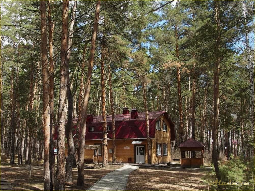 Омская область — красноярка базы отдыха, в которой сможет насладиться природой каждый
