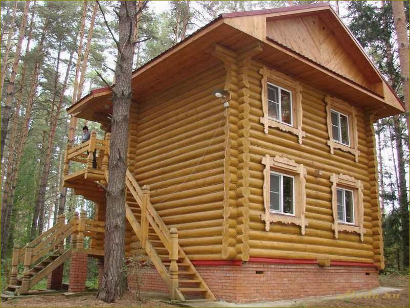 База отдыха в Нижегородской области — идеальное место для отдыха и развлечений