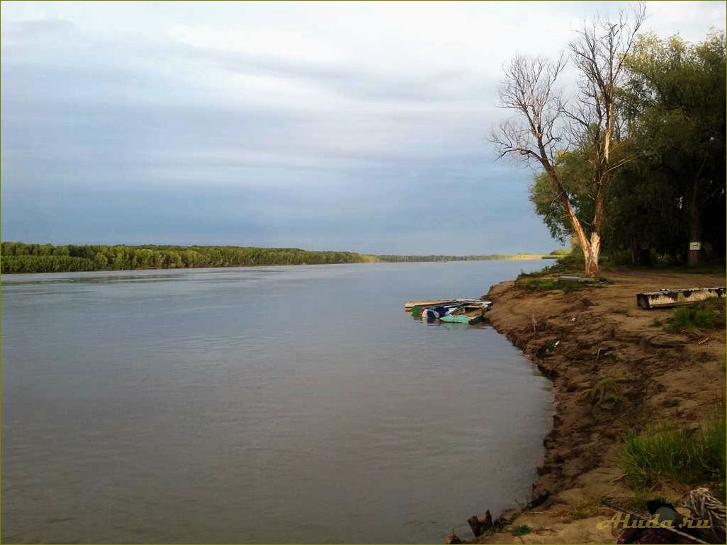 Идеальные базы отдыха на живописной реке Обь в Новосибирской области — отпуск, рыбалка и комфорт в окружении природы