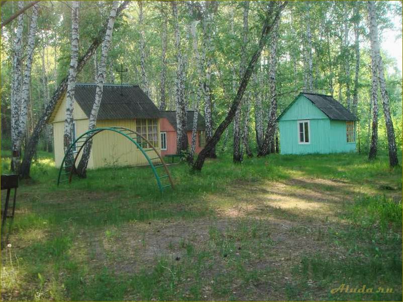 Базы отдыха Новосибирской области — база отдыха 