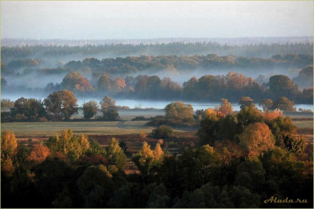 Природные достопримечательности Рязанской области — красоты природы, удивительные ландшафты, уникальные природные объекты