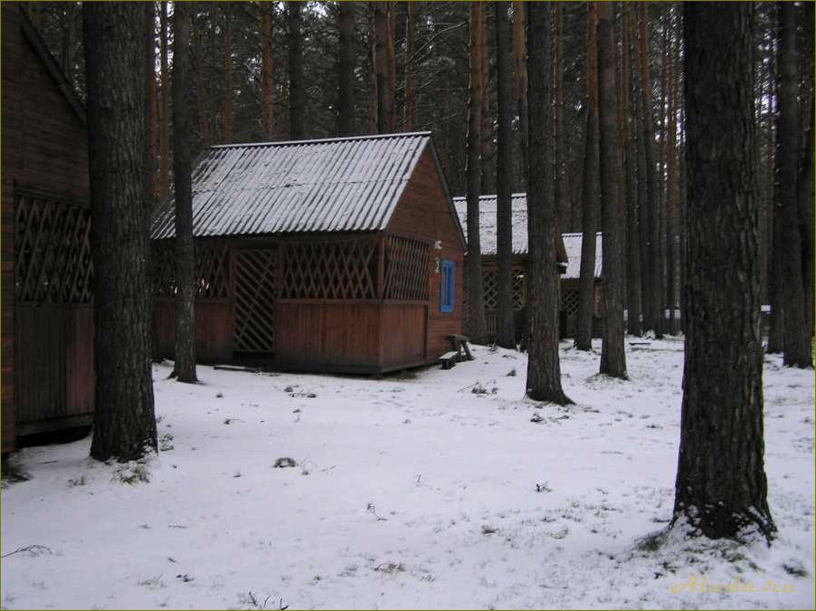 Муромцево — омская область, база отдыха 