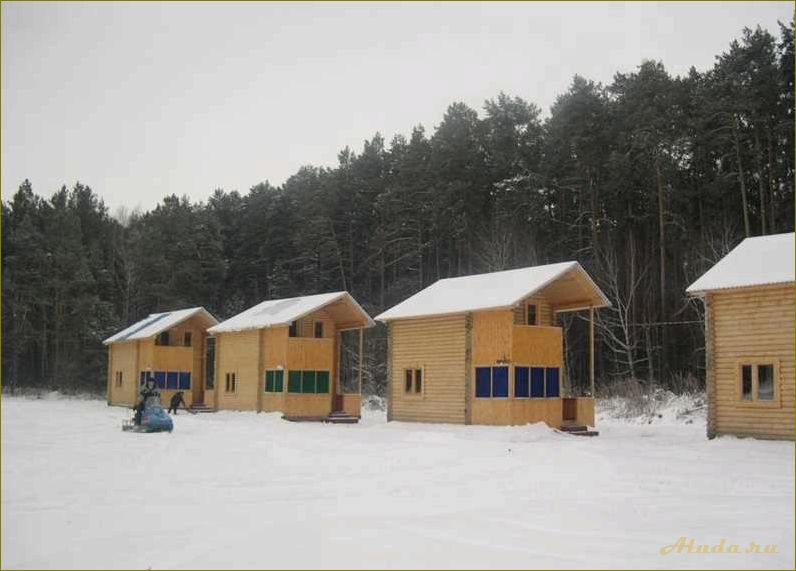 Муромцево — омская область, база отдыха 