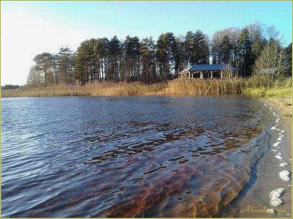 Отдых в Тверской области: межутоки, природа и достопримечательности