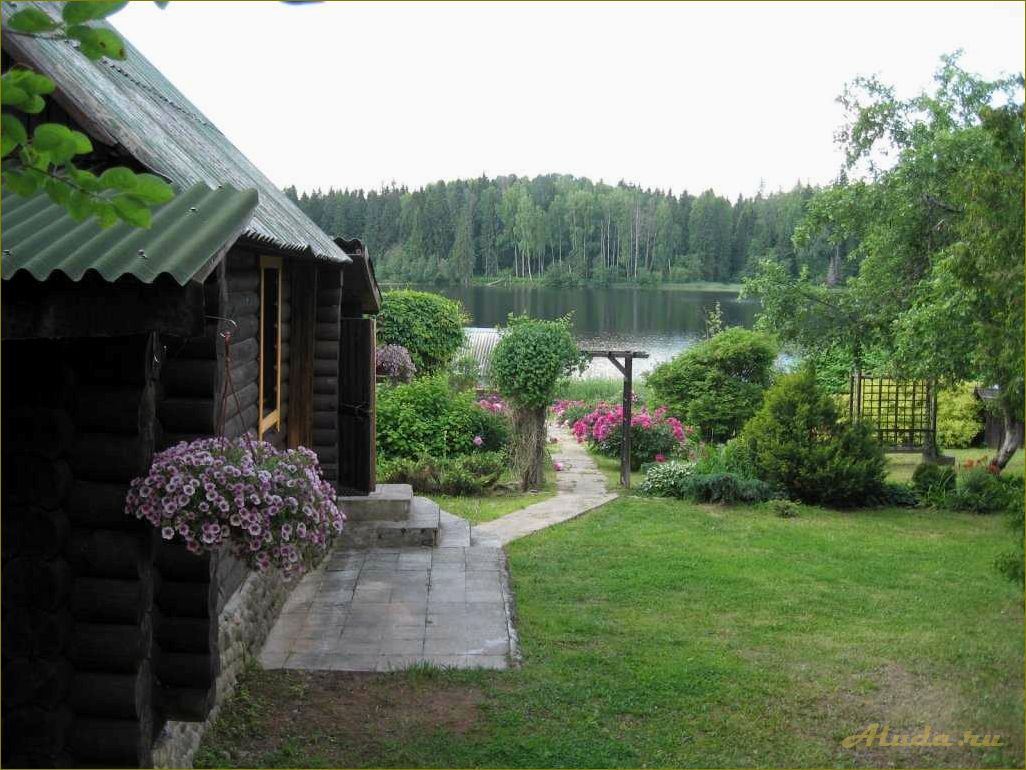 Отдых в новгородской области — домики на берегу озера по доступным ценам