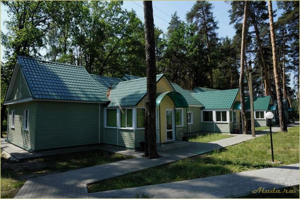 База отдыха в Тамбовской области: аренда домиков на любой вкус