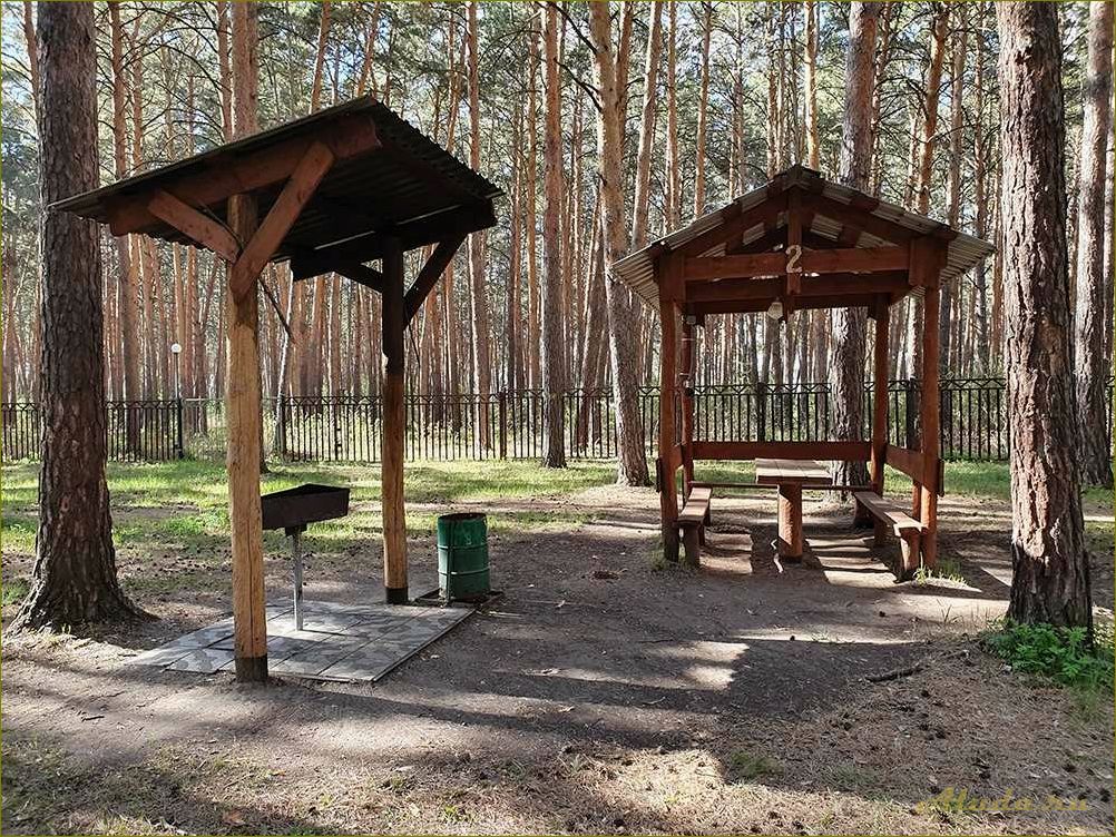 База отдыха на берегу Иртыша в Омской области — идеальное место для отдыха и релаксации