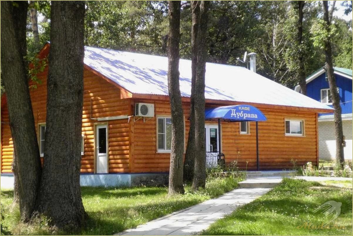 Дубрава — идеальная база отдыха в Пензенской области, расположенная в Кузнецком районе