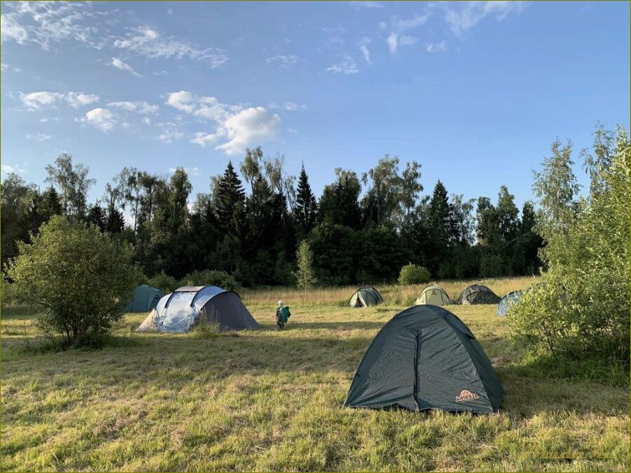 Отдых с палатками у реки в Ярославской области