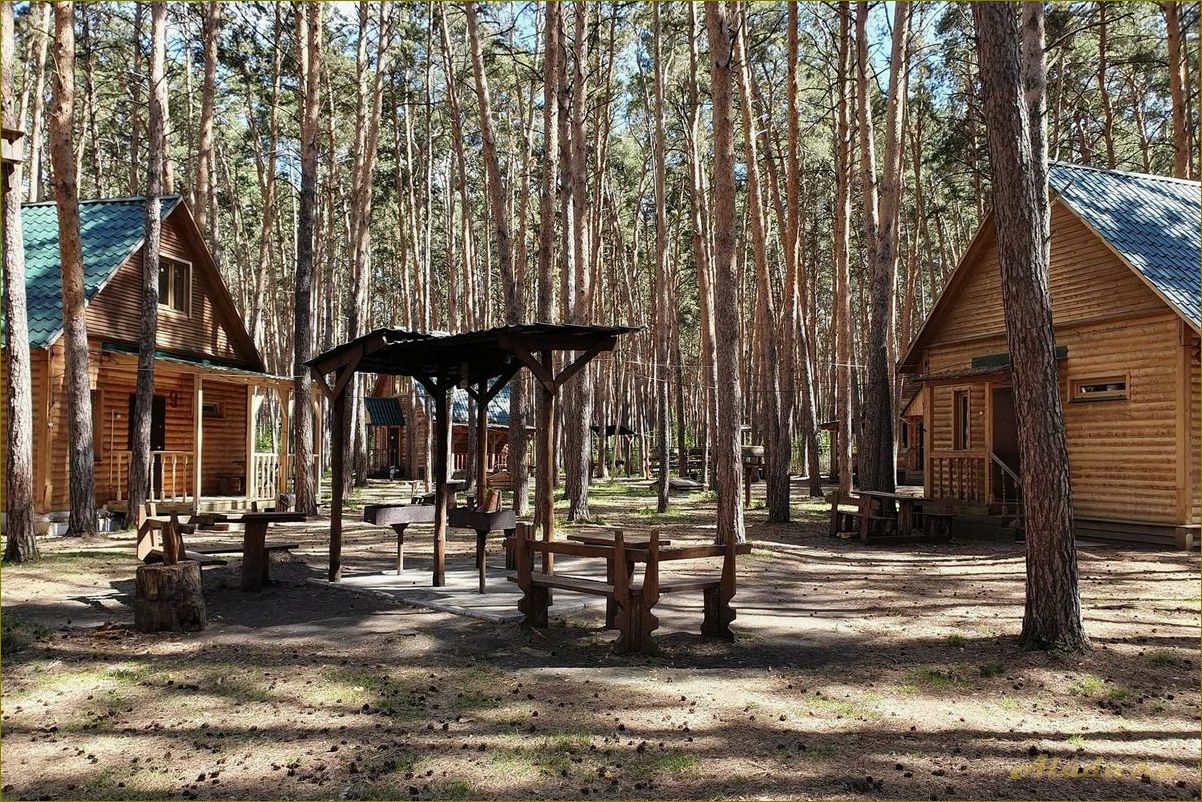 Загородный отдых в Омске и Омской области — идеальное место для спокойного отдыха на природе