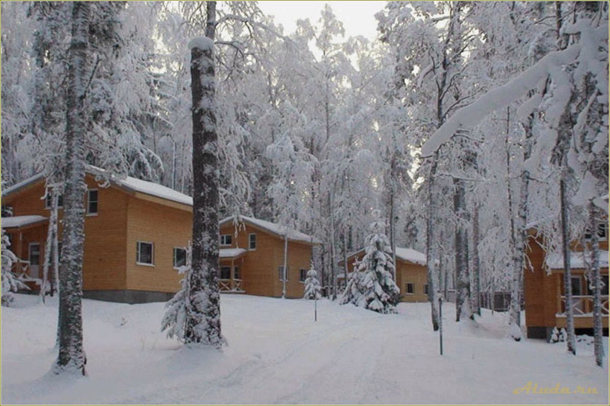 Отдыхайте зимой на базе отдыха в Свердловской области и наслаждайтесь зимними развлечениями