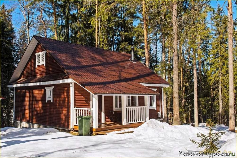 База отдыха в Новгородской области — уютные отдельные домики для идеального отдыха