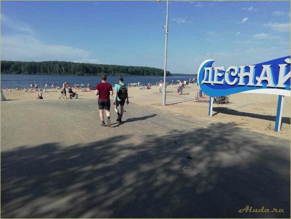 База отдыха на песчаном берегу Смоленской области в Десногорске